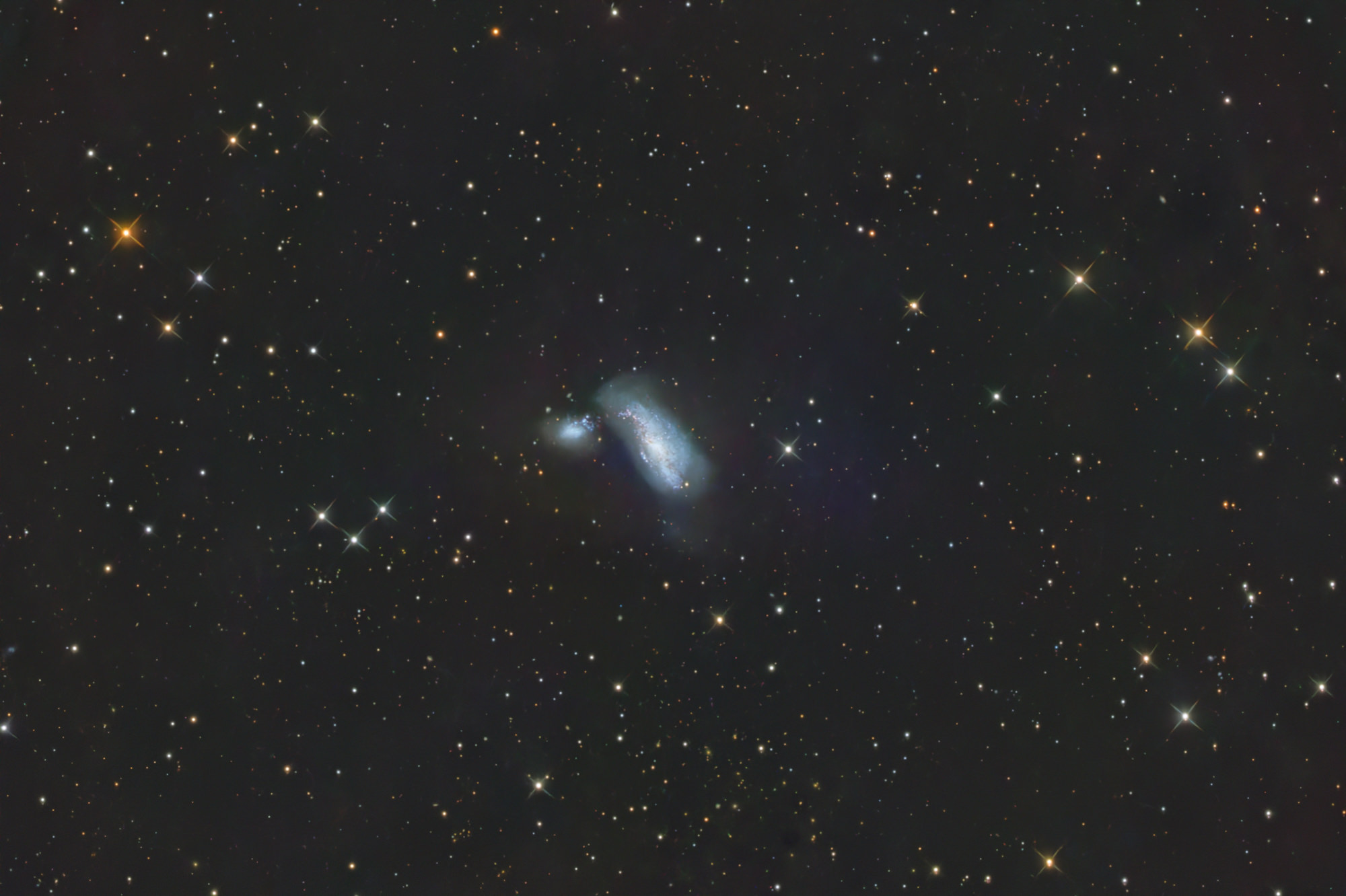 Die Cocoon Galaxy ARP269 ist ein interagierendes Galaxienpaar mit aktiven Sternentstehungsregionen. Die beiden Galaxien sind durch einen Gezeitenarm verbunden. Das Zentrum von NGC4490 besteht aus zwei getrennten Strukturen – vermutlich als Ergebnis einer Kollision zweier kleinerer Sternhaufen. Das Galaxienpaar ist von diffusen Sternwolken umgeben.